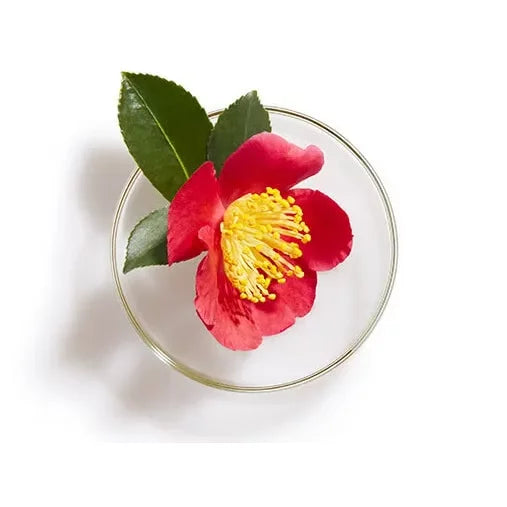 Tsubaki Conditioner 高級保濕修復山茶花護髮素 450ml