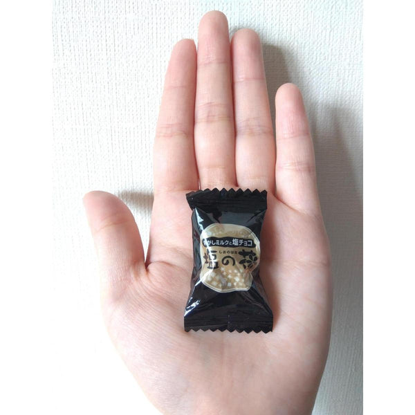 UHA 味覺糖鹽花巧克力夾心鹽焦糖糖果 78g