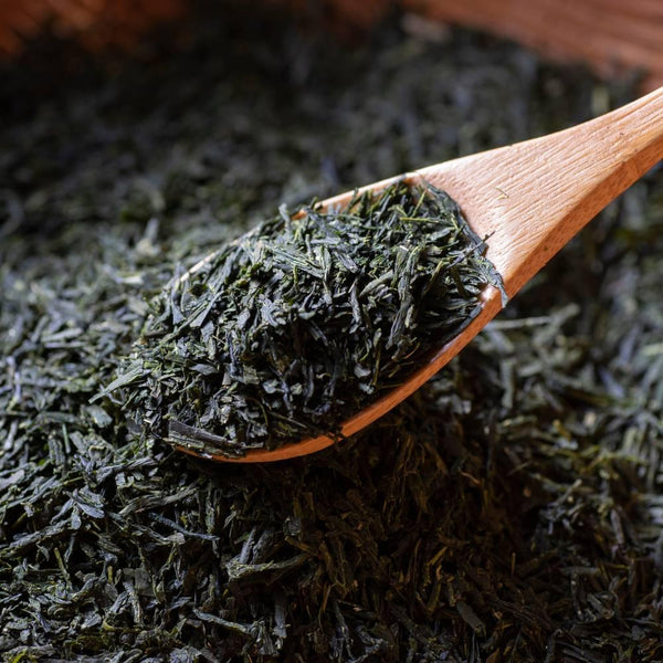 宇治園北白川玉露極品散葉綠茶 100g
