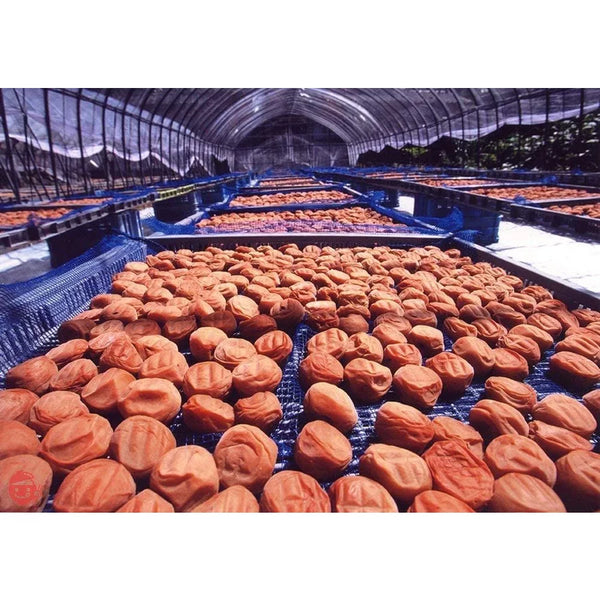 Umeboshi 酸梅 無添加 500g