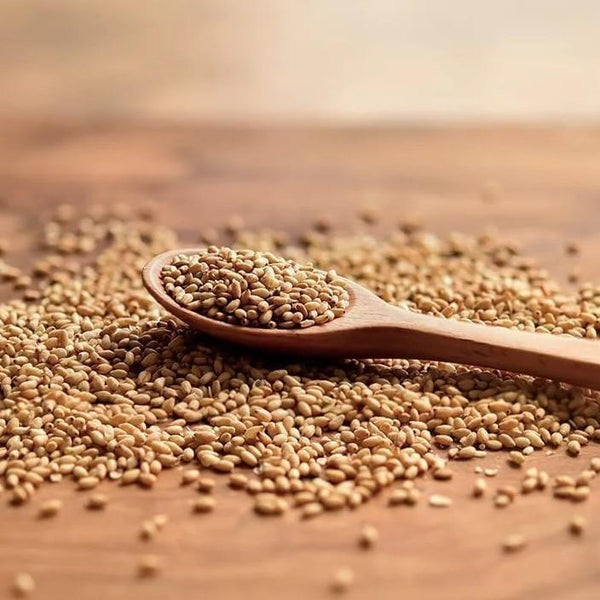 Wadaman 認證有機烤白芝麻 50 克