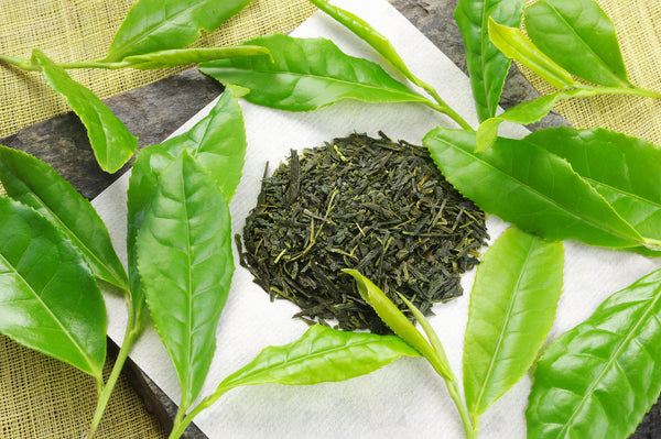 水草園